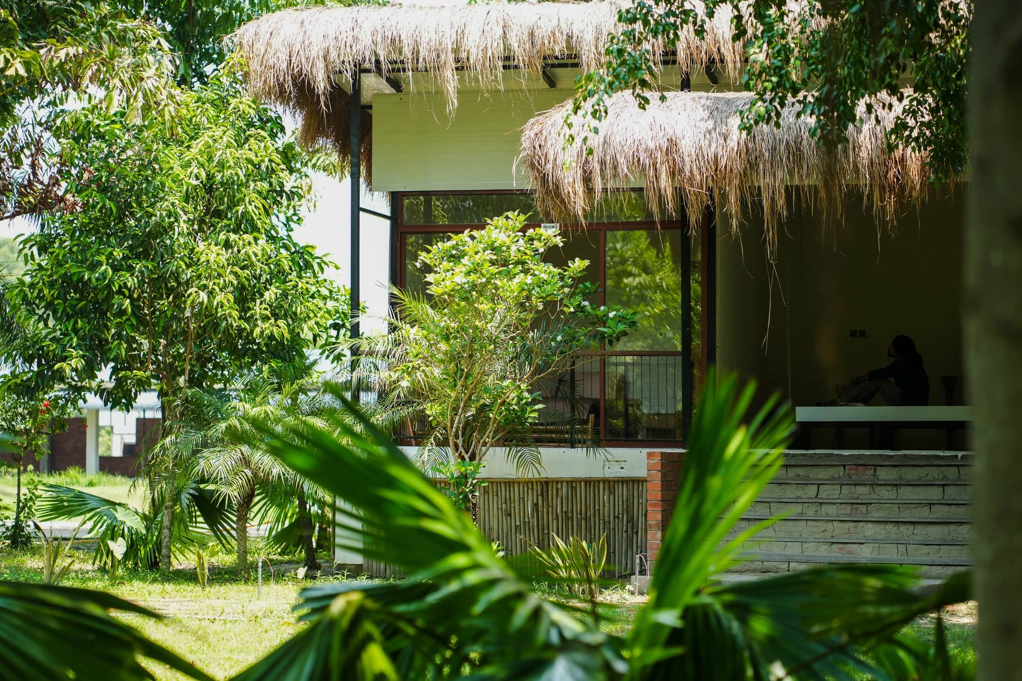 Thatched cottage among greenery