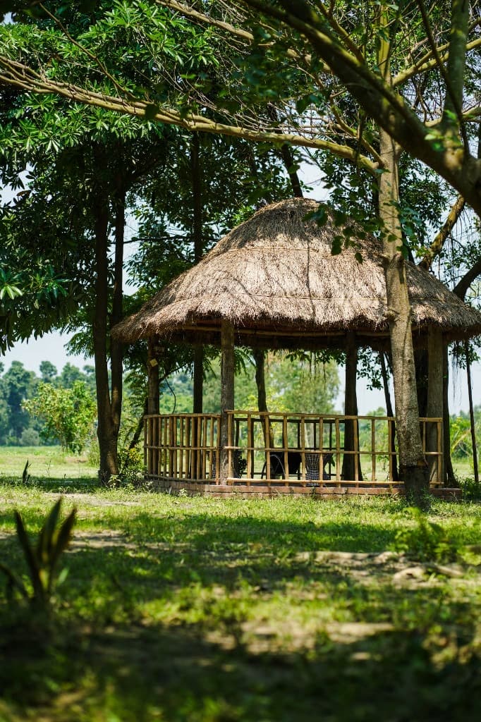 Thatched gazebo among trees and meadow at the Slow Garden