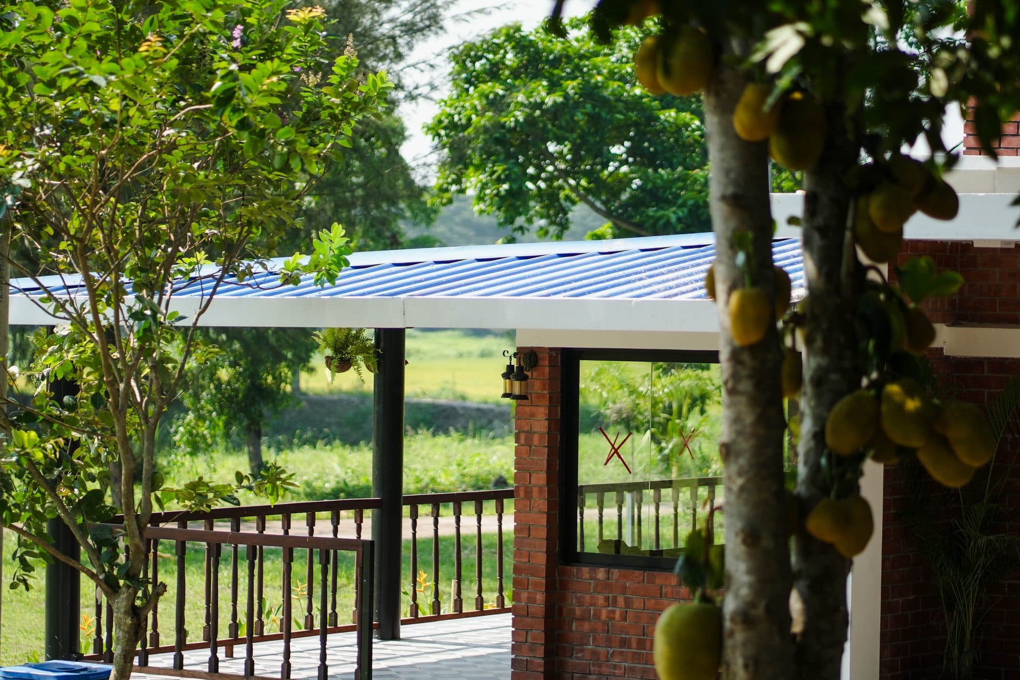 Verandah opening onto the meadow